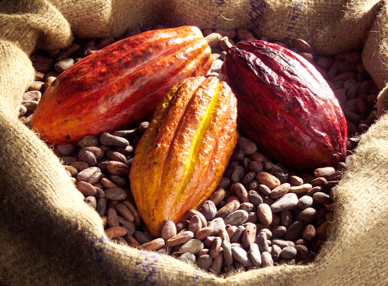 cacao madagascar