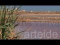 video saline marsala trapani sale