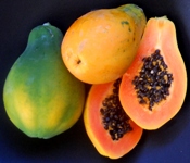 papaya