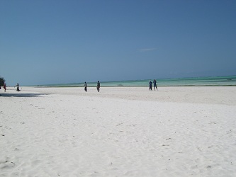 spiagge incantate, zanzibar